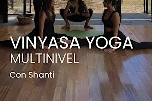 VINYASA YOGA MULTINIVEL · CON SHANTI