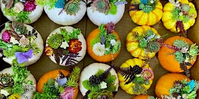 Pumpkin Decorating Workshop