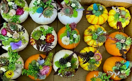 Pumpkin Decorating Workshop