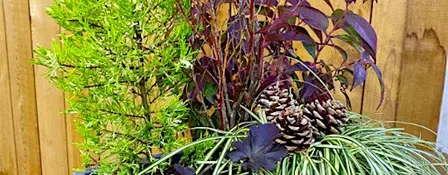 Natural Foliage Winter Planter Workshop