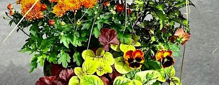 Celebrate Fall Planter Workshop