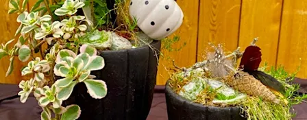 Spooky Succulent Urns Workshop