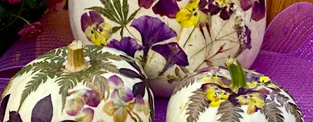 Botanic Pressed Flower Pumpkin Workshop