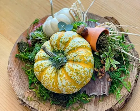 Pumpkin Centerpiece Workshop