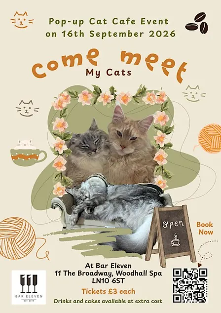 Pop-up Cat Cafe Event