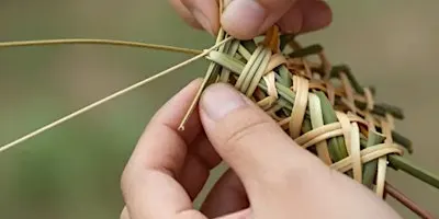 Willow Weaving Magical Mushrooms!