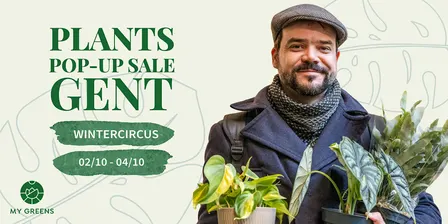 Planten Pop-Up Sale Gent: The Green Spectacle in het Wintercircus
