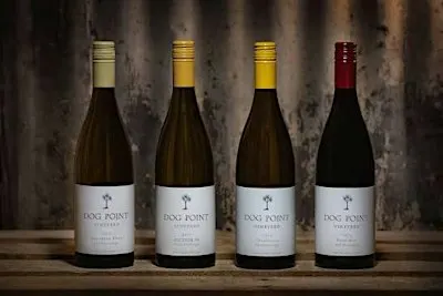 Dog Point Vineyard: A Comparative Vintage Tasting with Jak Nash