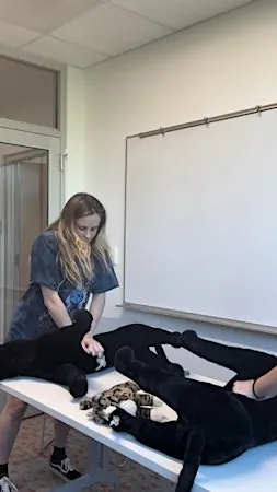 Hands -  On Pet First Aid & CPCR