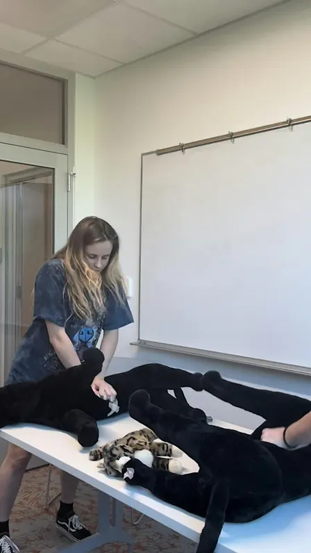 Hands - On Pet First Aid & CPCR