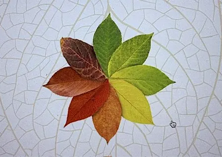 Inner Alchemy and the Grateful Death Present: The Art of Impermanence
