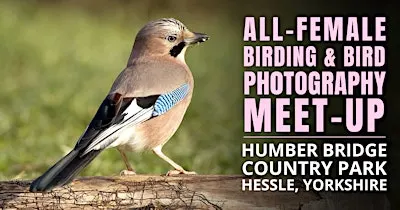 All-Female Bird & Bird Photography Morning