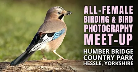 All-Female Bird & Bird Photography Morning
