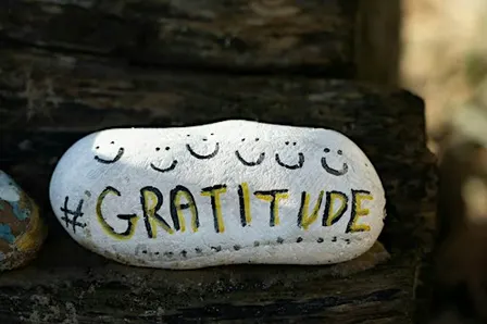 Cultivating Gratitude: An Evening Workshop