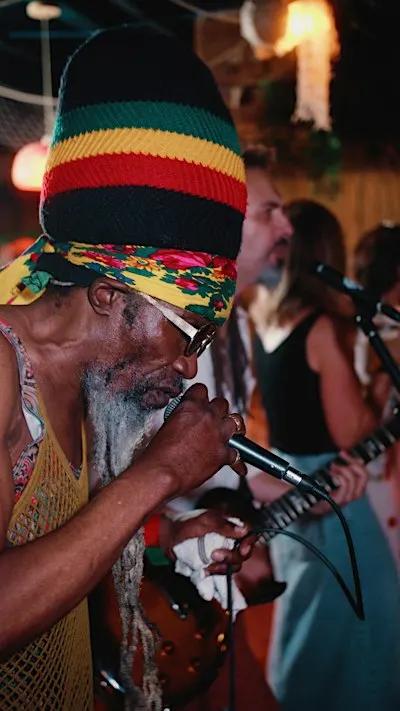 REGGAE IN THE JUNGLE - Live Jamaican Reggae Band