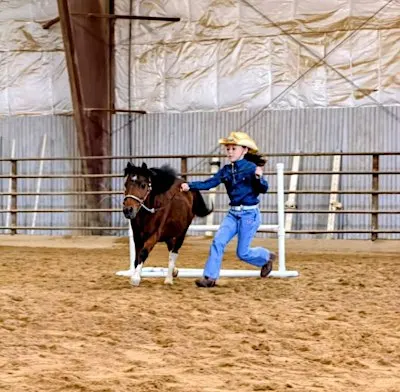 Mini Horse Moments Private Lessons