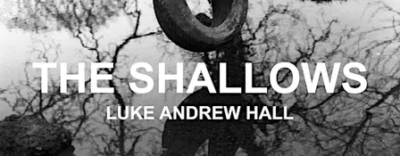 The Shallows - Plymouth Art Weekender 2026