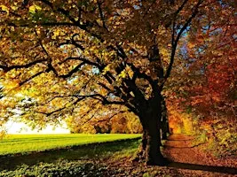 Lowry’s Lodge Reading Series – October