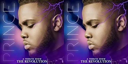 A Tribute Show : Prince (The Revolution)