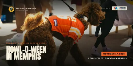 Howl-O-Ween in Memphis Dog Parade
