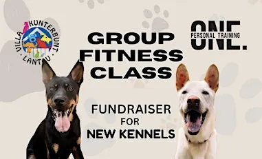 Group Fitness Class