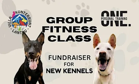 Group Fitness Class
