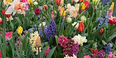 Bulbs & Winter/Spring Containers – Gardening Workshop (Premium)