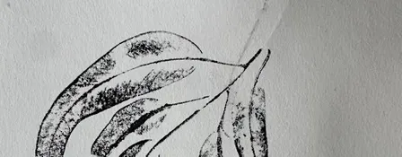 Holiday Workshop: Nature Print Making (8-12 years)