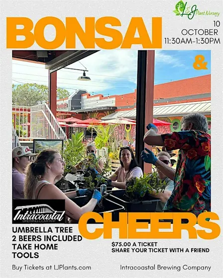 Bonsai & Cheers at Intracoastal Brewing | Umbrella Tree Workshop