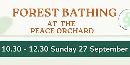 FOREST BATHING AT THE PEACE ORCHARD