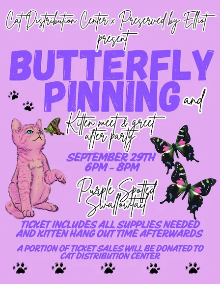 Butterfly Pinning + Kitten Meet and Greet