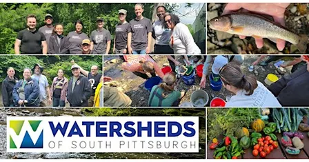 Stream & Litter Clean-Up