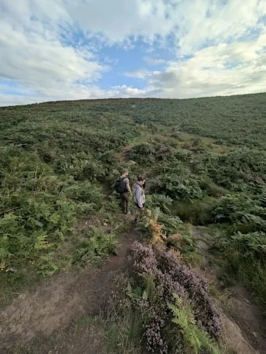 Guided Hike Stanage to Bamford Edge