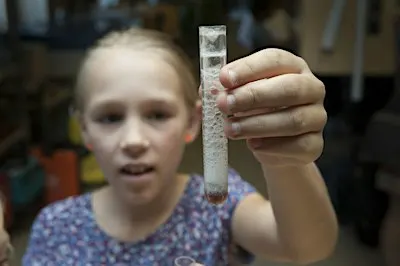 Wetenschapscircus - STEM voor het lager onderwijs