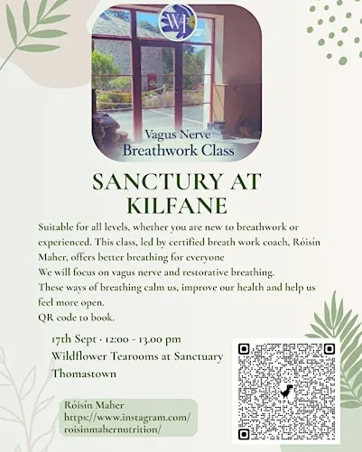 Vagus Nerve Breathwork Class- Kilfane, Thomastown