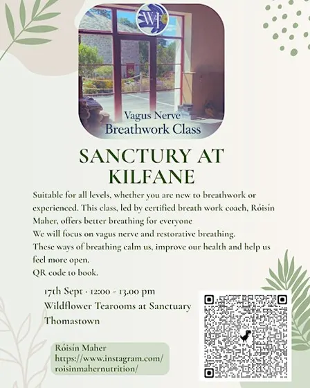 Vagus Nerve Breathwork Class- Kilfane, Thomastown