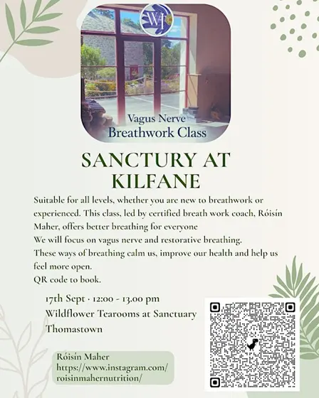 Vagus Nerve Breathwork Class- Kilfane, Thomastown