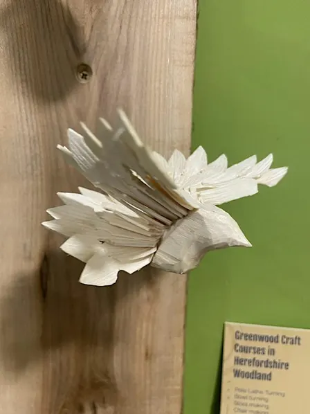 Touch Wood Course - Make a Fan Bird
