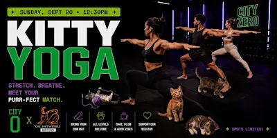 The Cat Connection: Kitty Yoga