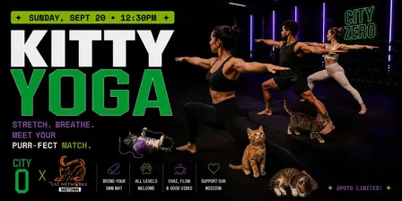 The Cat Connection: Kitty Yoga