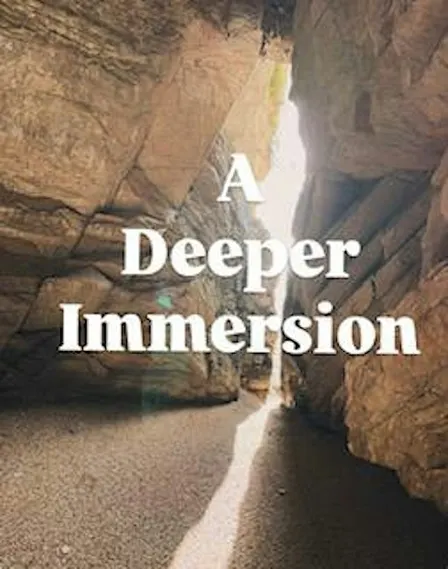 ✨A Deeper Immersion ✨