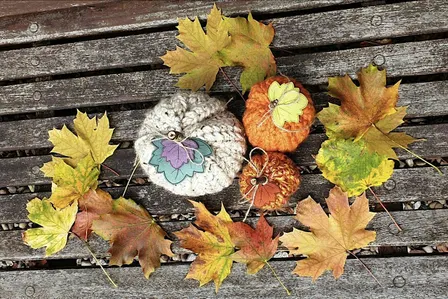 Halloween Crochet Pumpkin Workshop – Beginner-Friendly Class