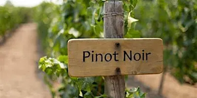 Pinot Noir Around the World