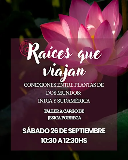 RAÍCES QUE VIAJAN - CONEXIONES ENTRE PLANTAS DE DOS MUNDOS