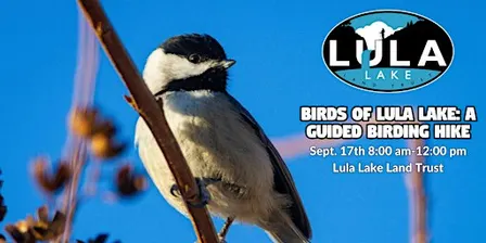 Birds of Lula Lake: A Guided Birding Hike
