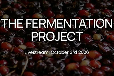 James Hoffmann Global Tasting  – Live Stream & Cupping Session in Antwerpen