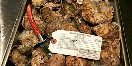 Cuisine of the Chesapeake Bay