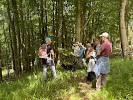 Enjoy a tour of the new Warleigh Nature Reserve on the outskirts of Bath.