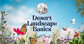 Desert Landscape Basics