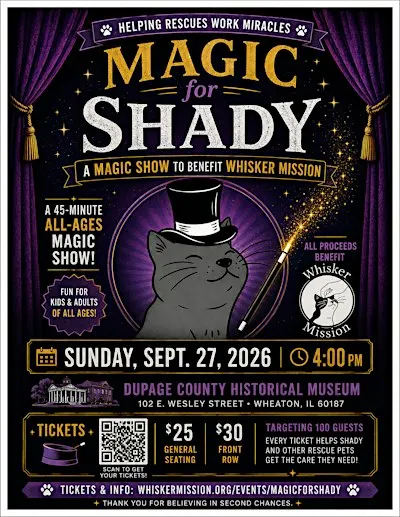 Magic for Shady
